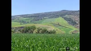 Il paesaggio da Grassano verso Matera / Die Landschaft von Grassano bis Matera