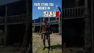 Места расположения редких скрытых предметов в RDR2