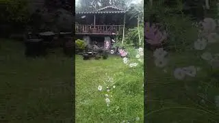 Riverside Cottage at Riverside Dwelling Tabakoshi