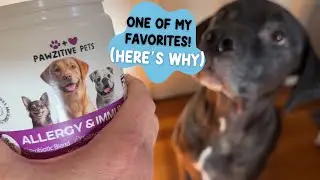 👉 **PURCHASE HERE** 👈 Love Pawzitive Pets line. Allergy & Immunity has helped w/ grass allergies