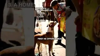 Vendor Becomes Dad to Abandoned Dog #rescue #emotional
