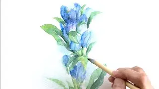 [水彩画]リンドウの花を描く/watercolorpainting/制作過程