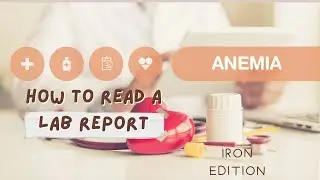 What does this Mean? How to Read a Lab Report, Iron Edition #anemic #lowiron #labreport