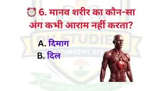 10 Questions | Simple Question, Hard Answer | Test Your Brain @AllExamQuizz @Exampur__Official 