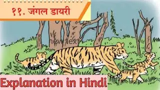 10th Marathi lesson 11. Jungle Diary. Explanation in Hindi. जंगल डायरी.