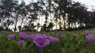Galgibag camping