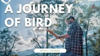 Monty Sharma - A Journey of Bird - Official Video