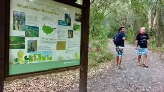 HIKE | Mt Coolum | Sunshine Coast QLD