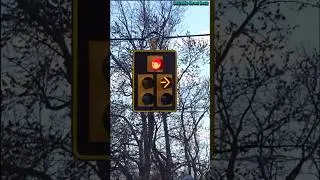 New Dog House & Flashing Yellow Arrow After Upgrade #detrafficstreetbeatz
