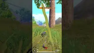 Wait for this Snake !!