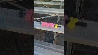Pink Peep Army + Yellow Peep on Bleechers #shorts