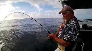 Spanish Mackerel On Atomic Hardz shiner 100