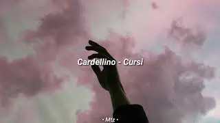 Cardellino - Cursi [Letra]