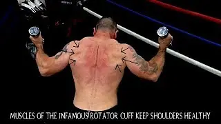 W Raise - Bullet Proof Shoulders for Over 40s Athletes