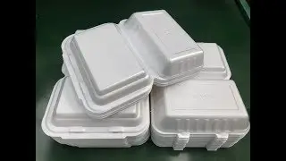disposable plastic food container production line