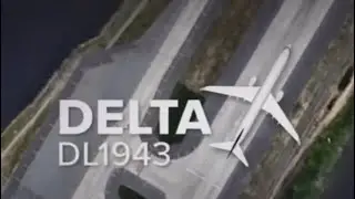 Delta 1943 (Near Miss) ✈️