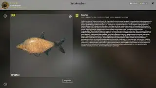 Russian Fishing 4. Brachse an der Alten Festung. (Trophy)