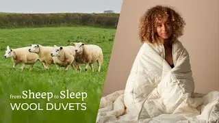 Woolroom From Sheep to Sleep - Wool Duvets