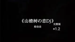 山楂树之恋×1.2 dj
