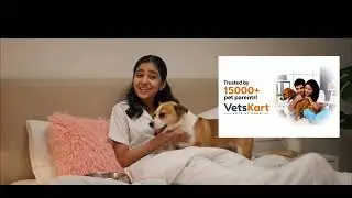 Online Vet Consultation | VetsKart | Vet Home Visit 
