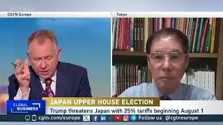 A look at Japan's upper house election, trade policies and economic outlook