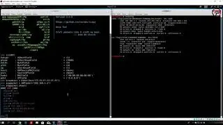 Ethical Hacking #30 : Crafting malicious ARP packet