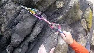 Grigri 1 + Petzl Torse ,BuddyTrax