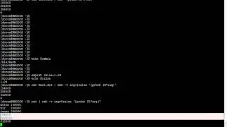 Linux Scripting 2   one liner awk