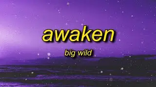 Big Wild - Awaken (TikTok Remix) | every time i feel good i think it'll last forever