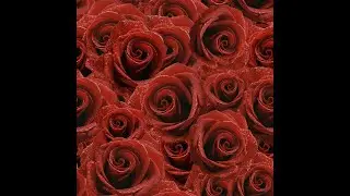 Welcome to The Red Tent