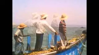 uppunda dinesh
