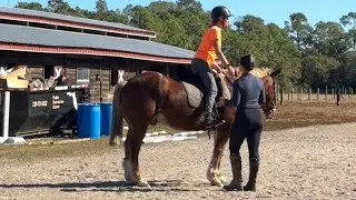 Understanding leg aids & cross training: Sandra 1/7/25