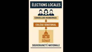 R&eacute;vision Flash #18 &ndash; Les caract&eacute;ristiques des &eacute;lections locales