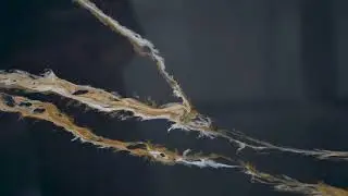 Black Quartz Stone Countertops & Slabs | Modern Engineered Quartz for Interiors