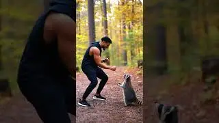 He&rsquo;s training like the neighbor&rsquo;s cat is definitely coming back 🥹🥊 #Raccoon #Boxing #FunnyAnimals