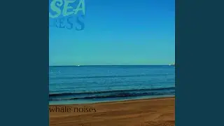 untitled ocean song