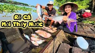 Dòng Sông Có Nhiều Loại Cá Nhất,Chịu Trúng 1 Lần Vài Chục Ký    |Cần Tv 94# 
