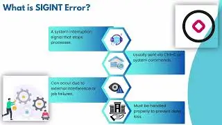 What is SIGINT Error in DataStage? | DataStage Training Guide | DataStage Error Tutorial