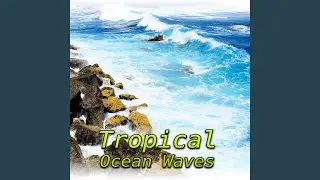 Tropical Island with Ocean Noise