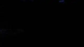 Bullmastiffen Siri tr&auml;nar persons&ouml;k