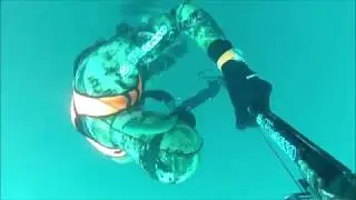 chasse sous-marine bretagne mars 2019 - Lieus jaunes