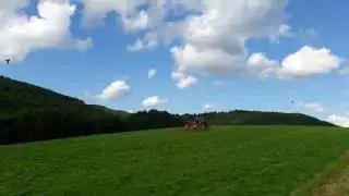 Zehn Rotmilane &uuml;ber Visbeck
