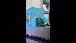 12x12 Backlighted Mirror