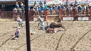 The Angola Prison Rodeo 
