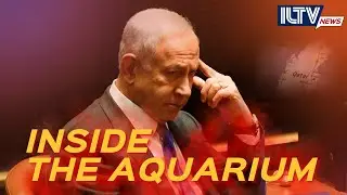 Eli Groner on Qatargate and Israel’s Economy