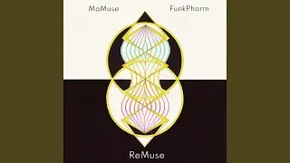 We Shall Be Known (FunkPharm Mix)