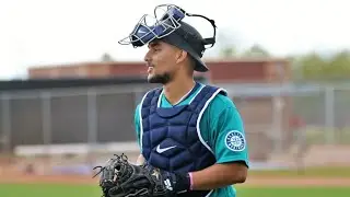 Harry Ford Full 2025 Seattle Mariners Highlights