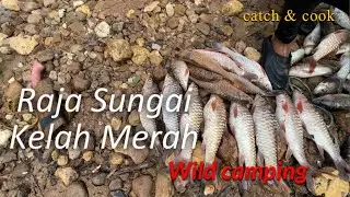 Banyak Halangan Dan Rintangan Menuju Ke Spot RAJA Sungai | Gajah | Ikan Kelah | Tengas | Sebarau |