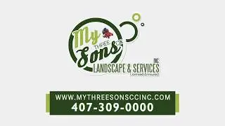 Orlando Small Business Commercial
