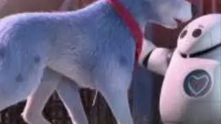 Pets United Roger